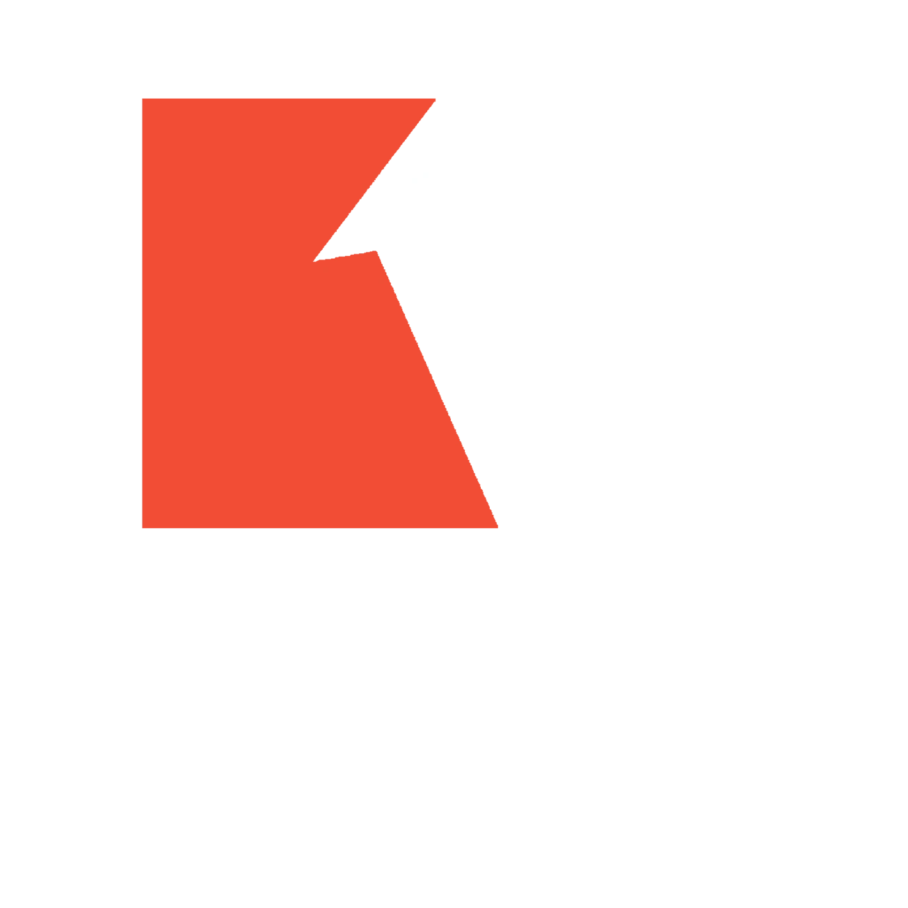 Rayven Studios